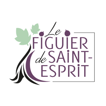 Marinescence-Media-Partners-Figuier-de-Saint-Esprit